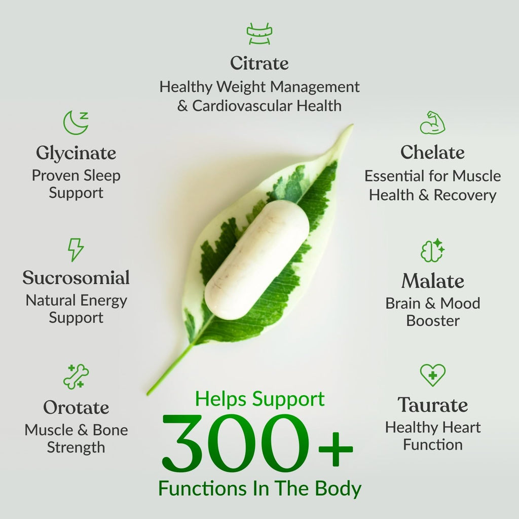 BIOptimizers Magnesium Breakthrough — 7 Forms of Magnesium, 60 Capsules