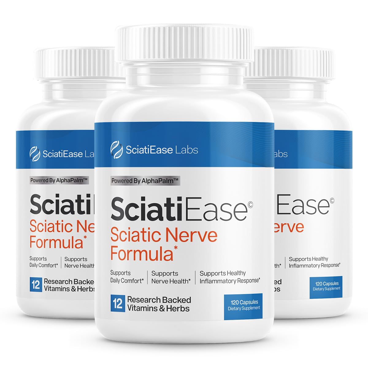 Sciatic Nerve Support Supplement with AlphaPalm, PEA & Vitamin B Complex