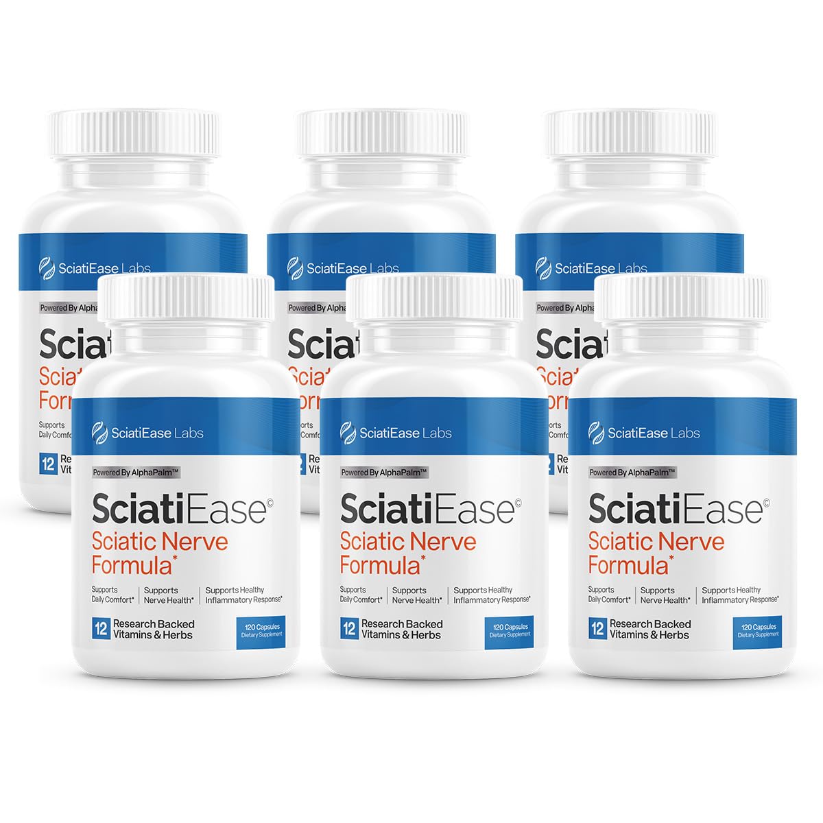 Sciatic Nerve Support Supplement with AlphaPalm, PEA & Vitamin B Complex