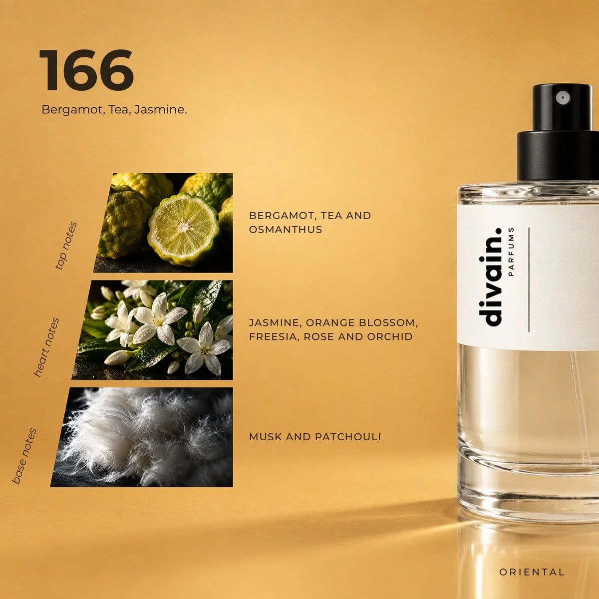 divain. 166