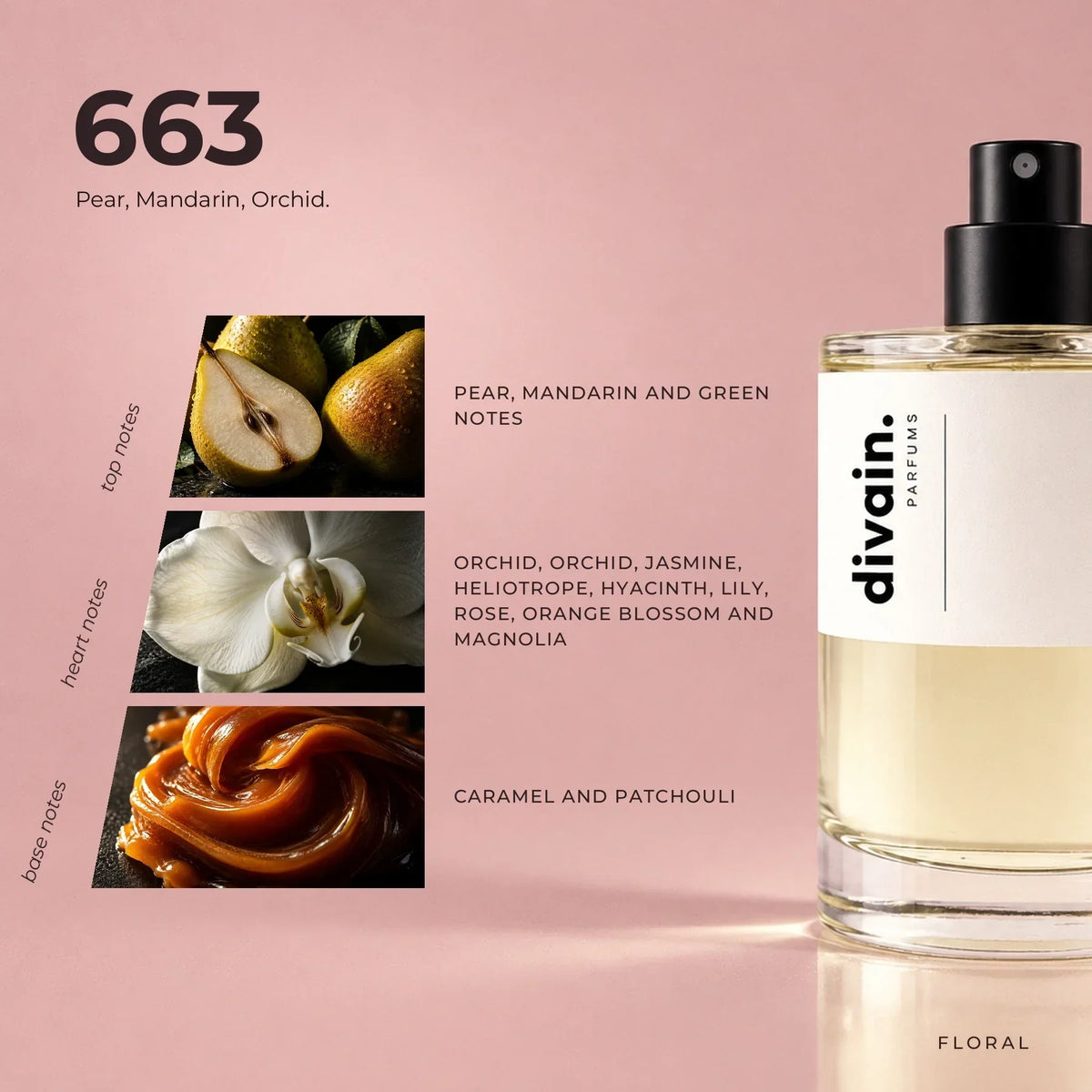 divain. 663