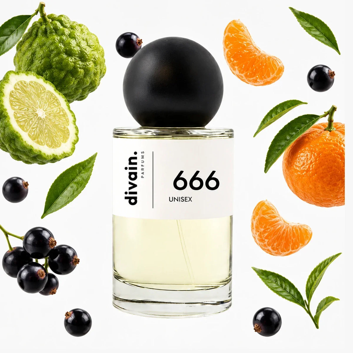 divain. 666